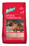 Baileys Stud & Youngstock Mix