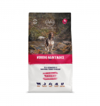 Alpha Adult Maint Worker Beef 15kg