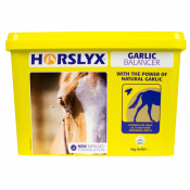 Horslyx Garlic Lick 5Kg