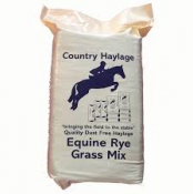 CH Rye Grass Haylage