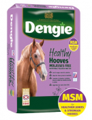 Dengie Healthy Hooves Mol Free
