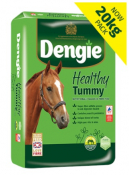 Dengie Healthy Tummy