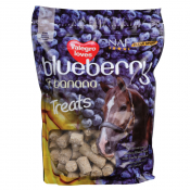 Blueberry & Banana Treats