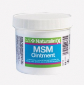 Naturalintx Msm Ointment 250G