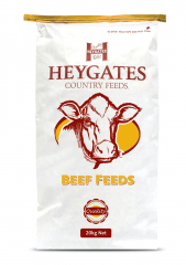 Cattle