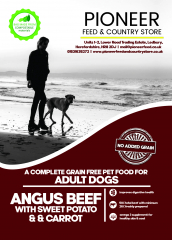 Pioneer Grain Free Beef