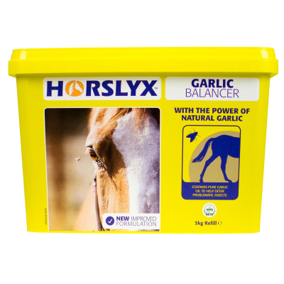 Horslyx Garlic Lick 5Kg