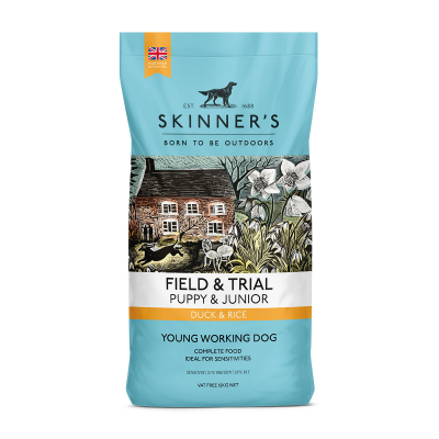 Skinners Field & Trial Puppy Duck