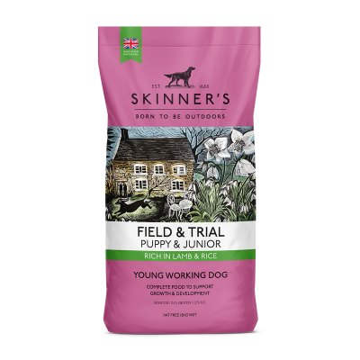 Skinners Field & Trial Puppy Lamb