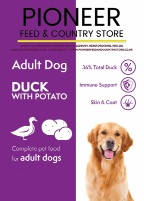 Pioneer Duck & Potato