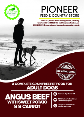 Pioneer Grain Free Beef