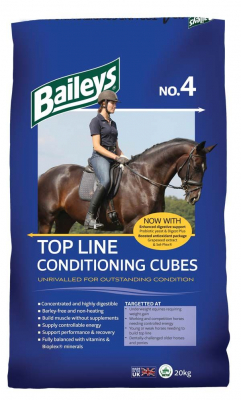 Baileys Top Line Conditioning Cubes