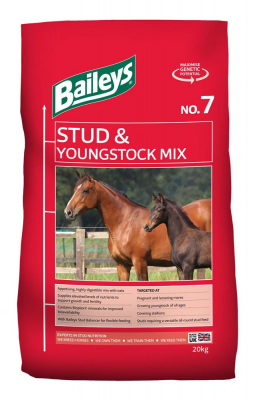 Baileys Stud & Youngstock Mix