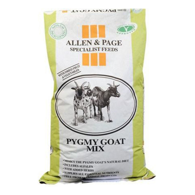 A&P Pygmy Goat