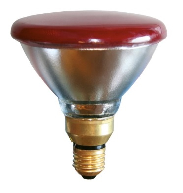 Infra Red Bulb 175w