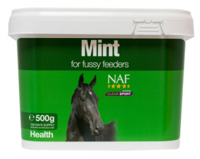 Mint 500G