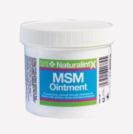 Naturalintx Msm Ointment 250G