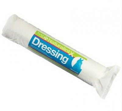 Naturalintx Dressing 500G