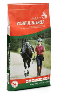 Saracen Essential Balancer