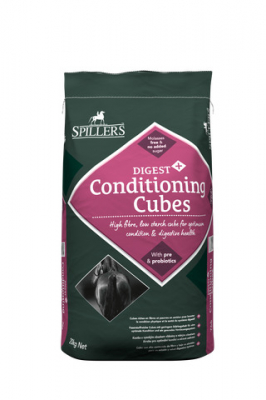 Spillers Digest+ConditionCubes