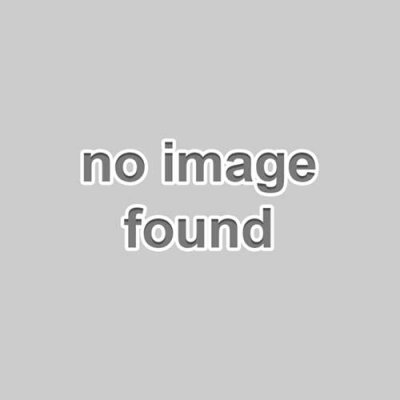 Value Greyhound 12.5kg